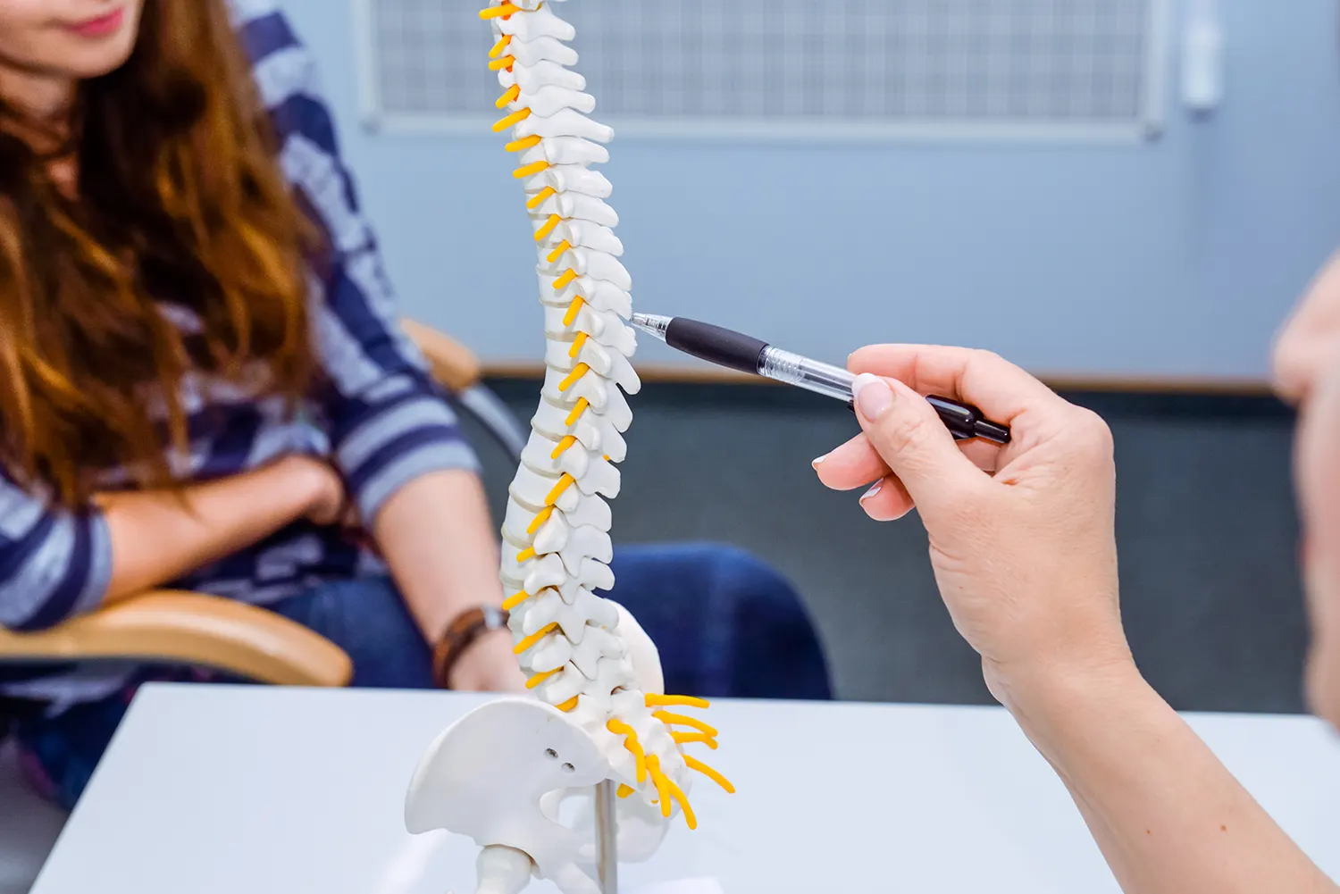 Chiropractor pointing to a spine model with a pen during a patient consultation